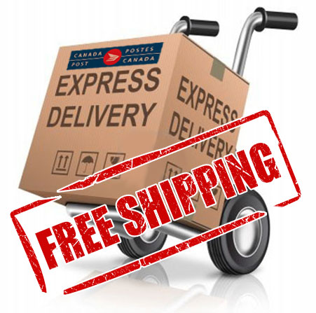 download shipping company
